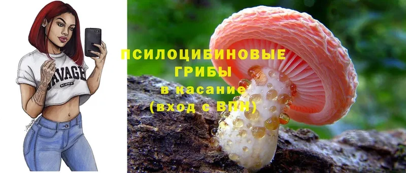 Галлюциногенные грибы MAGIC MUSHROOMS  OMG ссылки  Георгиевск 